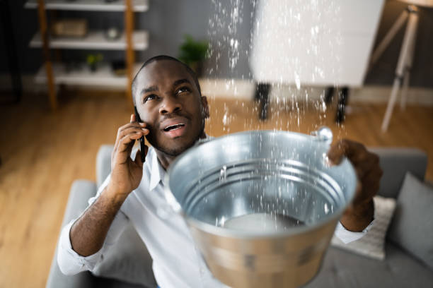 Best Commercial water damage restoration  in Edwards, CO