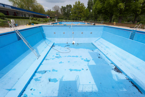 Best Mold removal after water damage  in Edwards, CO