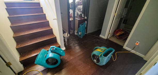 Reliable CO Water damage restoration Solutions