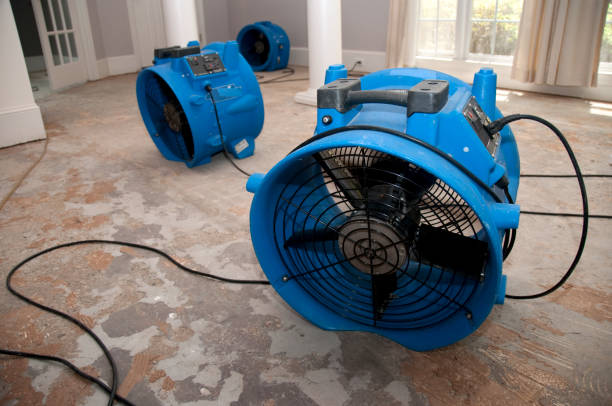 Best Residential water damage restoration  in Edwards, CO