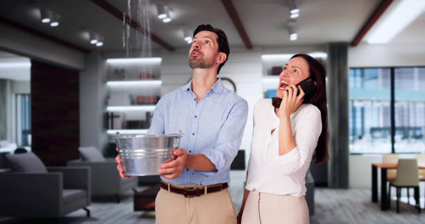 Best Water damage restoration cost  in Edwards, CO